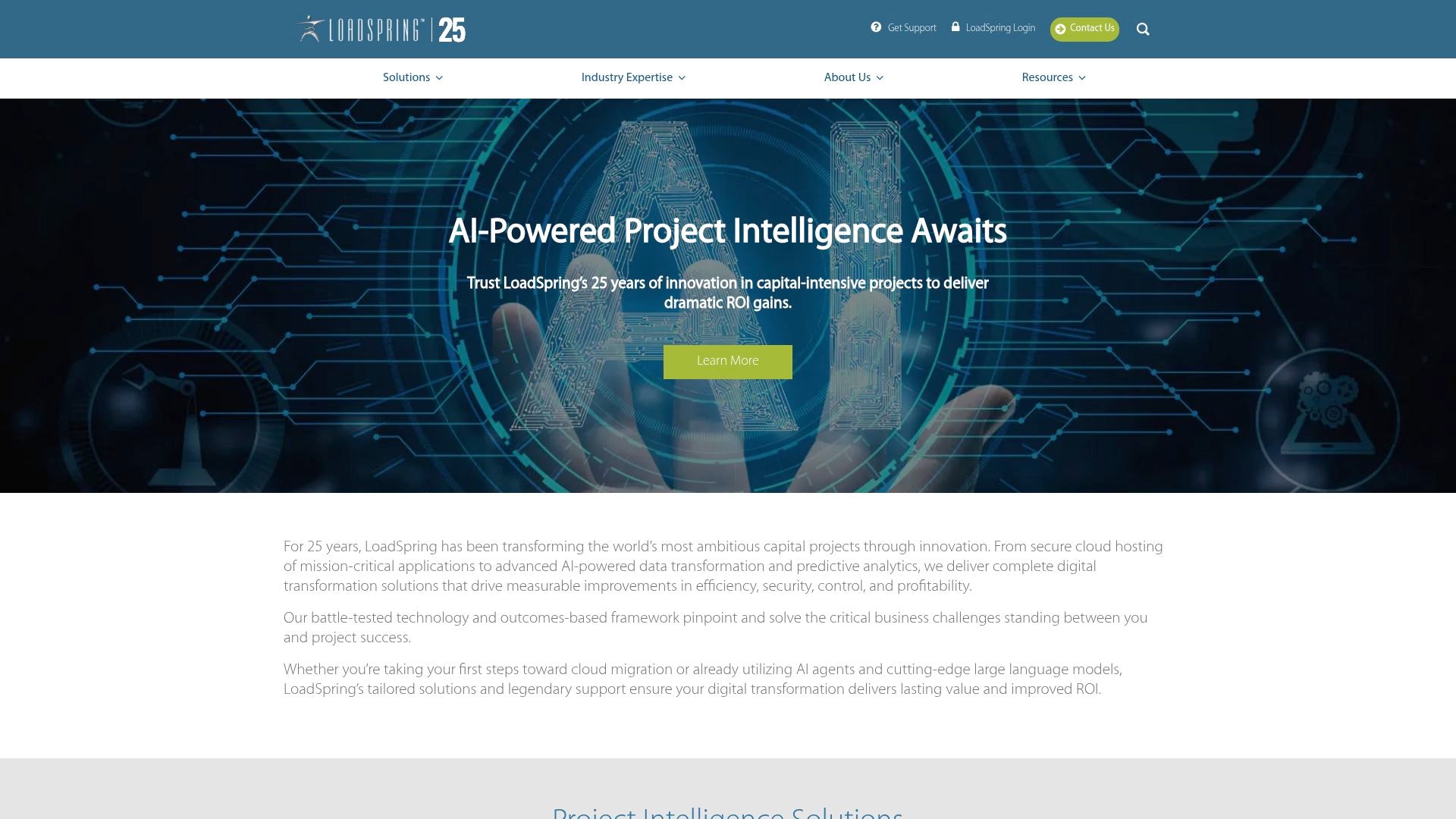 LoadSpring Solutions - Cloud-based project management solutions for ...